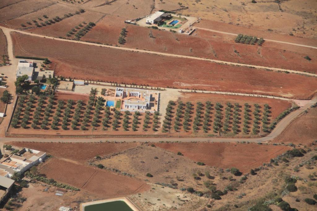 Olivares Rural Los Albaricoques Екстер'єр фото