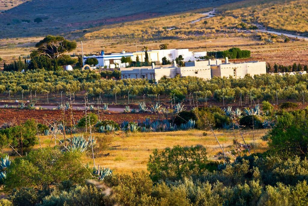 Olivares Rural Los Albaricoques Екстер'єр фото