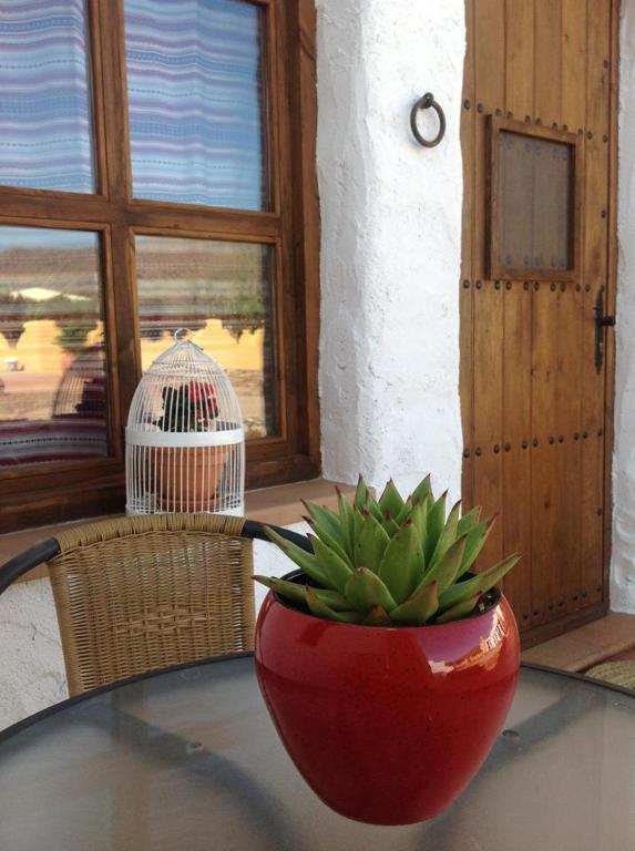 Olivares Rural Los Albaricoques Екстер'єр фото